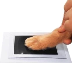 PrintMe - Paw Print Pad - Groter Formaat - Pootafdruk Maken Van Hond Of Kat - Zeer Gemakkelijk - Verbeterd Formaat! - Geen Inkt Op De Poot Van Uw Huisdier- Groot - Leuk Als Cadeau! -Hondenspeelgoed Winkel 1200x1060 2