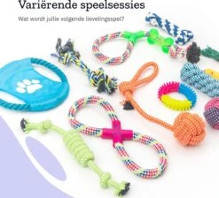 All 4 Pets Supply® Honden Speelgoed Set Geschikt Voor Puppy's T/m Middelgrote Honden - 12 Stuks - Hondenspeeltjes - Intelligentie - Touw - Flostouw - Bijtring - Bal 18 All 4 Pets Supply® Honden Speelgoed Set Geschikt Voor Puppy's T/m Middelgrote Honden - 12 Stuks - Hondenspeeltjes - Intelligentie - Touw - Flostouw - Bijtring - Bal -Hondenspeelgoed Winkel 1200x1086 1