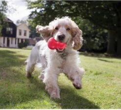 Kong Kauwbot - Hondenspeelgoed - Rood - M -Hondenspeelgoed Winkel 1200x1092 3