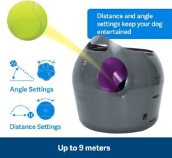 PetSafe Automatische Ballenwerper - Dierenspeelgoed -Hondenspeelgoed Winkel 1200x1105 3