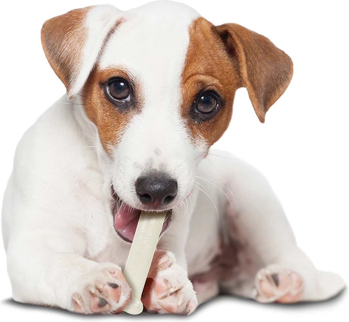 Nylabone Harde Bijters Kluif - Kip - Voor Honden Tot 15 Kg 4 Nylabone Harde Bijters Kluif - Kip - Voor Honden Tot 15 Kg - Afbeelding 2