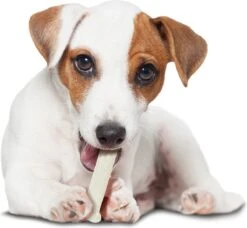 Nylabone Harde Bijters Kluif - Kip - Voor Honden Tot 20 Kg -Hondenspeelgoed Winkel 1200x1107 5