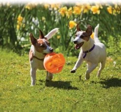 Kong Jumbler Ball - Assorti Hondenspeelgoed - L/XL - Ø18 Cm 17 Kong Jumbler Ball - Assorti Hondenspeelgoed - L/XL - Ø18 Cm -Hondenspeelgoed Winkel 1200x1108 2