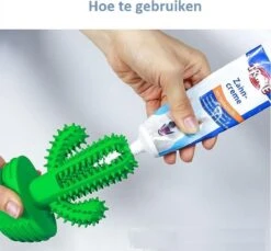 Tandenborstel + TANDPASTA Hond Melk Geur Smaak En Piep Honden Speelgoed - Cactus Dog Toy Tandverzorging Kauwbotten Hondenspeelgoed Hondenbot Kauwstaaf Tanden Puppy Hondenspeeltje Sterk Kauwspeelgoed - Dutchwide -Hondenspeelgoed Winkel 1200x1113