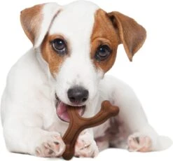 Nylabone Extreme Kauwbot Vorkbeen - Voor De Krachtigste Kauwers - Bizon Of Kipsmaak - S/M/L - Smaak: Bizon, Maat: Large -Hondenspeelgoed Winkel 1200x1117 4