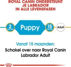 Royal Canin Labrador Retriever Junior 12 KG -Hondenspeelgoed Winkel 1200x1117 5