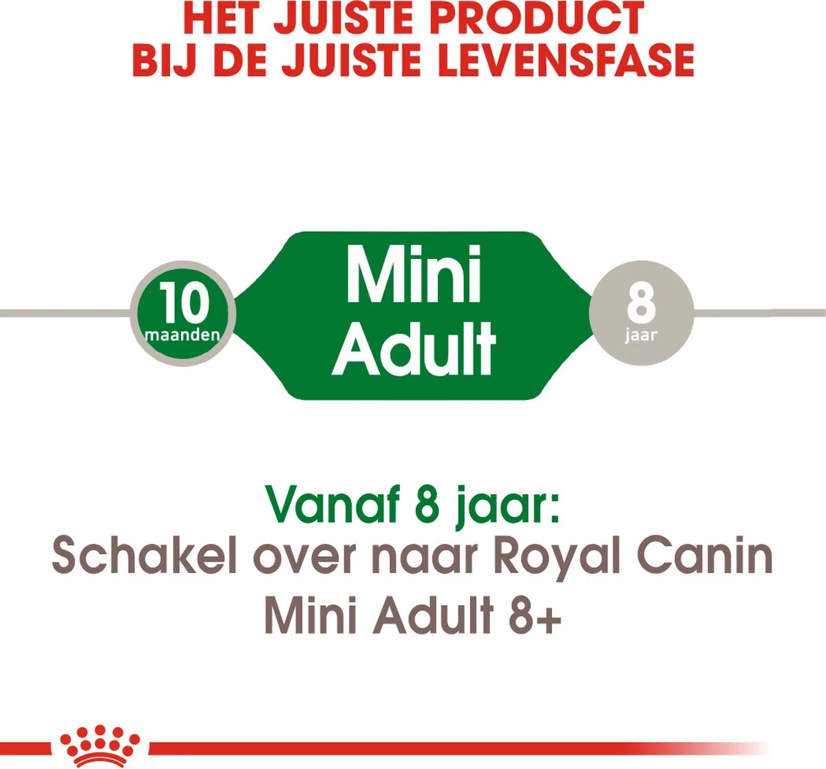 Royal Canin Mini Adult 8 KG 6 Royal Canin Mini Adult 8 KG - Afbeelding 4