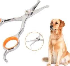 Merkloos Premium Gebogen Trimschaar Honden - Huisdier Trimmen - Hoofd, Poten Ogen & Oren - Kat & Hond Knippen - Veilige Schaar 14 Merkloos Premium Gebogen Trimschaar Honden - Huisdier Trimmen - Hoofd, Poten Ogen & Oren - Kat & Hond Knippen - Veilige Schaar -Hondenspeelgoed Winkel 1200x1120 3