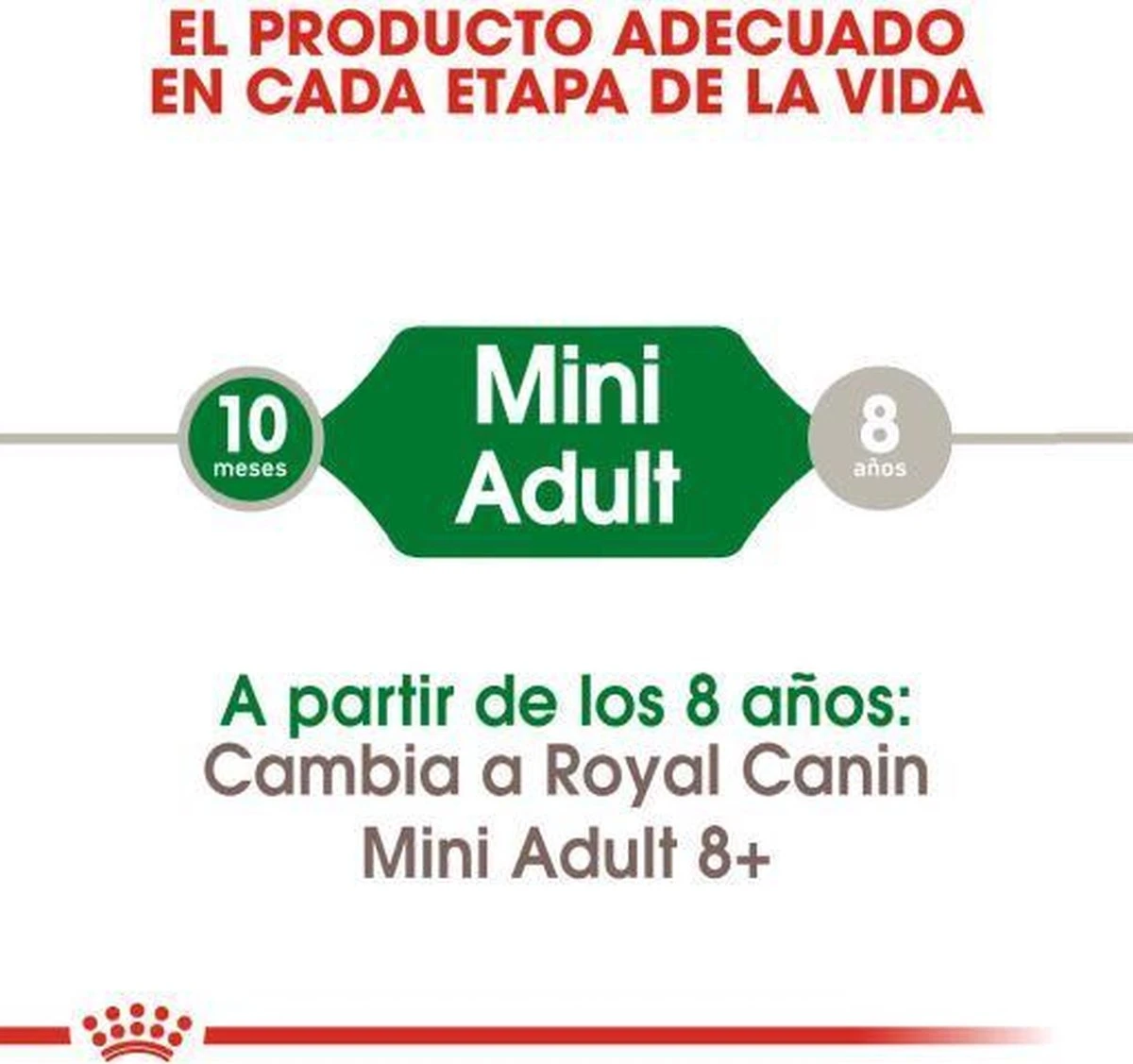 Royal Canin Mini Adult 8 KG 9 Royal Canin Mini Adult 8 KG - Afbeelding 7
