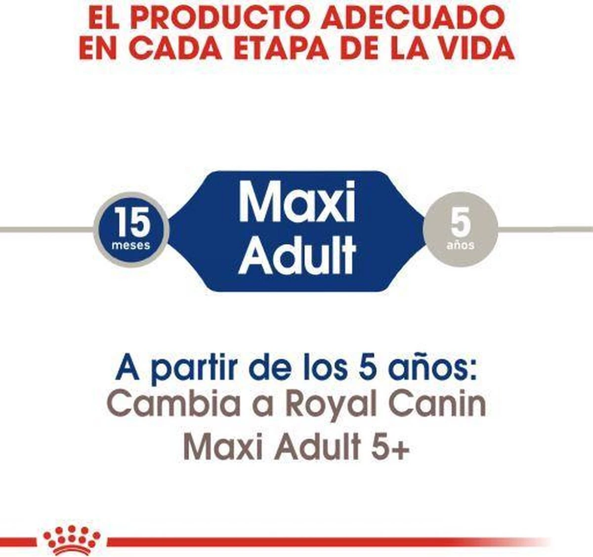 Royal Canin Maxi Adult 15 KG 20 Royal Canin Maxi Adult 15 KG - Afbeelding 18