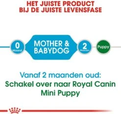 Royal Canin Mini Starter Mother & Babydog - Puppy-Hondenvoer - 8 Kg 12 Royal Canin Mini Starter Mother & Babydog - Puppy-Hondenvoer - 8 Kg -Hondenspeelgoed Winkel 1200x1128 4