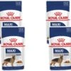 Royal Canin Shn Maxi Adult Pouch - Hondenvoer - 4 X 10 X 140 G 2 Royal Canin Shn Maxi Adult Pouch - Hondenvoer - 4 X 10 X 140 G -Hondenspeelgoed Winkel 1200x1128 5