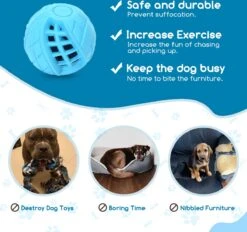 Nobleza Honden Speelgoed - Hondenspeeltjes - Hondenbal - Hondenspeelgoed - Honden Bal - Snackbal Hond - Kauwspeelgoed - Blauw - 8 Cm 12 Nobleza Honden Speelgoed - Hondenspeeltjes - Hondenbal - Hondenspeelgoed - Honden Bal - Snackbal Hond - Kauwspeelgoed - Blauw - 8 Cm -Hondenspeelgoed Winkel 1200x1129 1