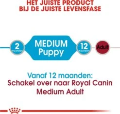 Royal Canin Shn Medium Puppy Pouch - Hondenvoer - 10 X 140 G 30 Royal Canin Shn Medium Puppy Pouch - Hondenvoer - 10 X 140 G -Hondenspeelgoed Winkel 1200x1135 7