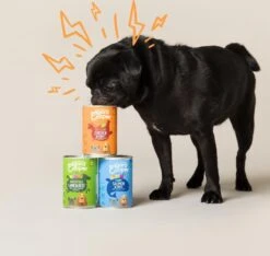 Edgard & Cooper Lam & Rund Blik - Voor Volwassen Honden - Hondenvoer - 12 X 400g 14 Edgard & Cooper Lam & Rund Blik - Voor Volwassen Honden - Hondenvoer - 12 X 400g -Hondenspeelgoed Winkel 1200x1138 1