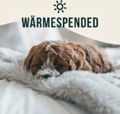 Happilax Fluffy Hondendeken Voor Auto & Bank, Wasbare Hondenmat Voor Op Reis, Grijs, L 12 Happilax Fluffy Hondendeken Voor Auto & Bank, Wasbare Hondenmat Voor Op Reis, Grijs, L -Hondenspeelgoed Winkel 1200x1139 3