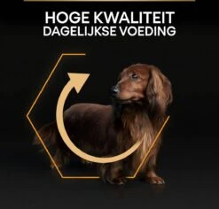Pro Plan Everyday Nutrition Adult Small & Mini - Honden Droogvoer - Kip - 3 Kg 31 Pro Plan Everyday Nutrition Adult Small & Mini - Honden Droogvoer - Kip - 3 Kg -Hondenspeelgoed Winkel 1200x1146 14