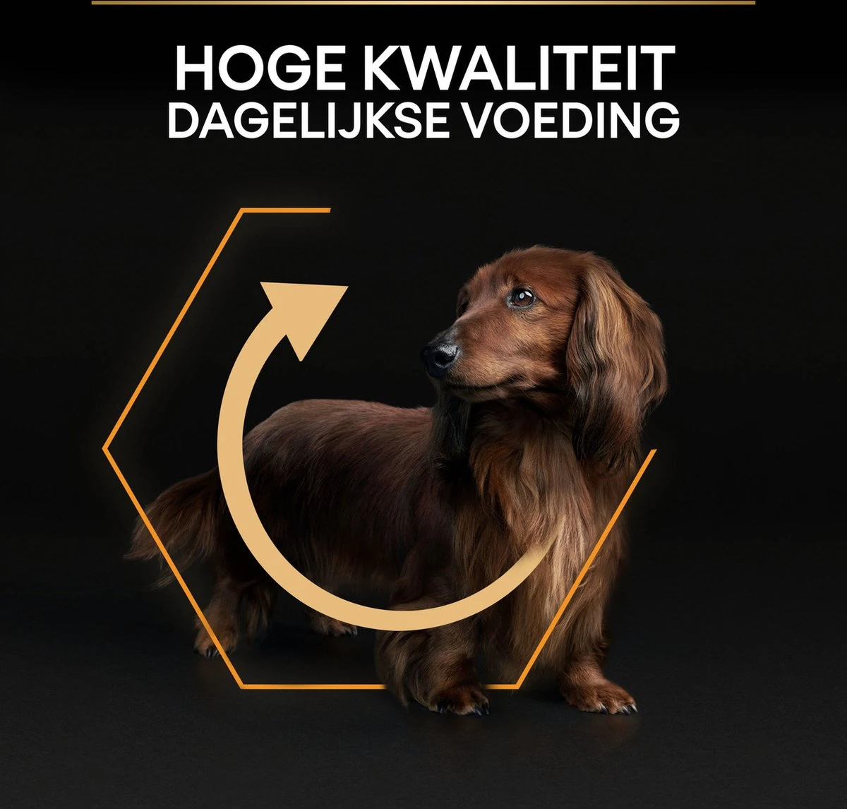 Pro Plan Everyday Nutrition Adult Small & Mini - Honden Droogvoer - Kip - 3 Kg 15 Pro Plan Everyday Nutrition Adult Small & Mini - Honden Droogvoer - Kip - 3 Kg - Afbeelding 13