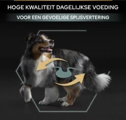 Pro Plan Medium Adult Sensitive Digestion - Honden Droogvoer - Lam - 14 Kg -Hondenspeelgoed Winkel 1200x1146 17