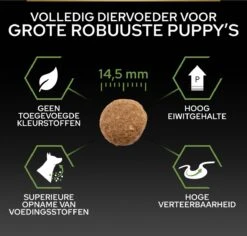 Pro Plan Healthy Start Puppy Large Robust - Honden Droogvoer - Kip - 12 Kg 23 Pro Plan Healthy Start Puppy Large Robust - Honden Droogvoer - Kip - 12 Kg -Hondenspeelgoed Winkel 1200x1146 7