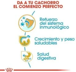 Royal Canin Labrador Retriever Junior 12 KG -Hondenspeelgoed Winkel 1200x1146 9