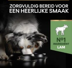 Pro Plan Medium Adult Sensitive Digestion - Honden Droogvoer - Lam - 14 Kg -Hondenspeelgoed Winkel 1200x1147 5