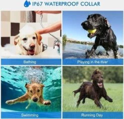 Anti Blafband EN Trainingshalsband In 1 - UNIEK SYSTEEM - 1000m Bereik - 100 Levels 23 Anti Blafband EN Trainingshalsband In 1 - UNIEK SYSTEEM - 1000m Bereik - 100 Levels -Hondenspeelgoed Winkel 1200x1154 1