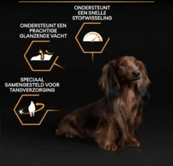 Pro Plan Everyday Nutrition Adult Small & Mini - Honden Droogvoer - Kip - 3 Kg 32 Pro Plan Everyday Nutrition Adult Small & Mini - Honden Droogvoer - Kip - 3 Kg -Hondenspeelgoed Winkel 1200x1155 8
