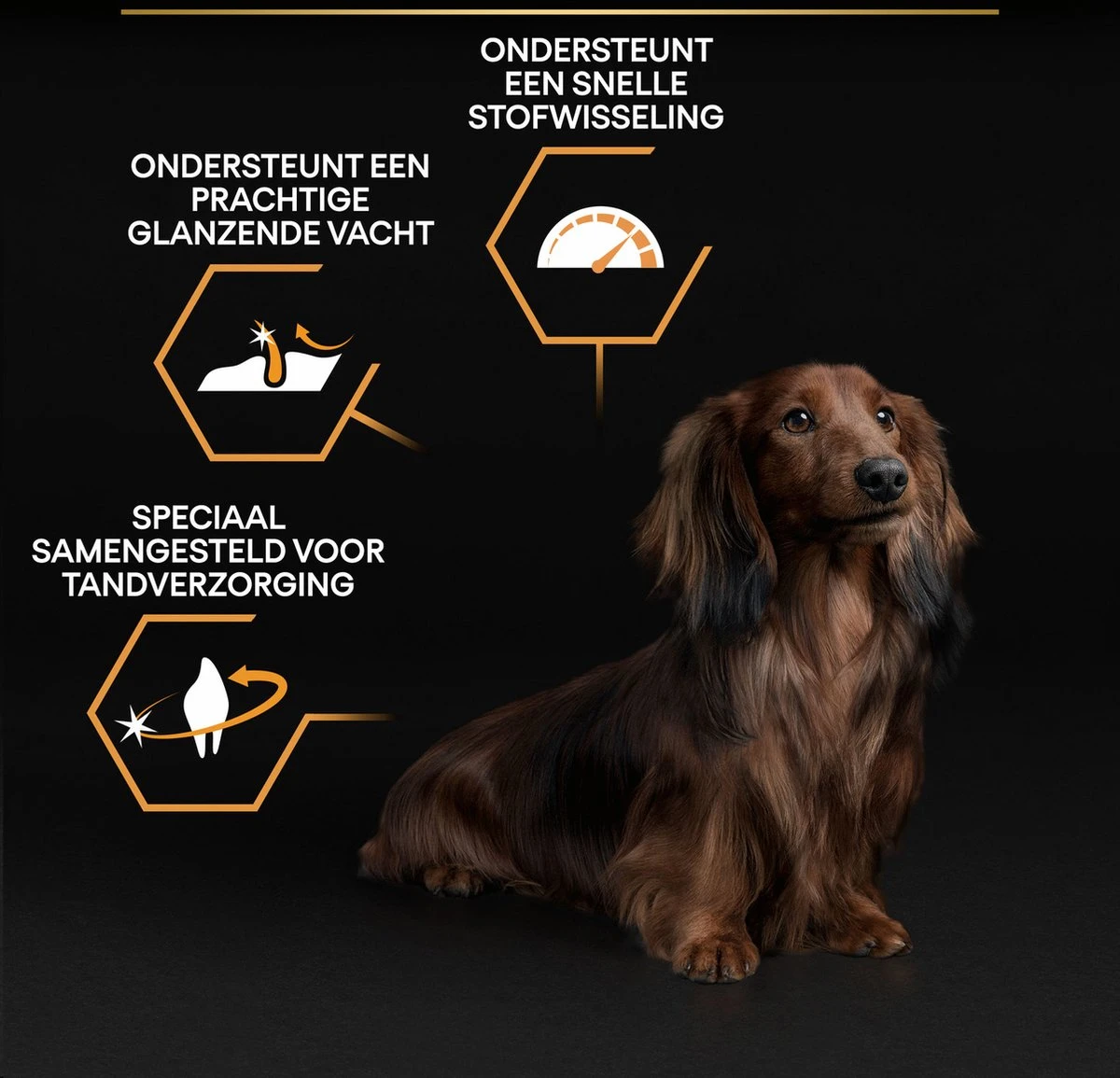 Pro Plan Everyday Nutrition Adult Small & Mini - Honden Droogvoer - Kip - 3 Kg 16 Pro Plan Everyday Nutrition Adult Small & Mini - Honden Droogvoer - Kip - 3 Kg - Afbeelding 14