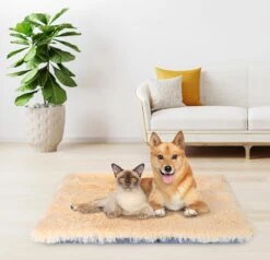 Nobleza Fluffy Benchkussen - Dierenkussen - Hondenkussen - Kattenkussen - Benchmat - Dierenmat - Hondenmat - Kattenmat - Crème - Maat L 20 Nobleza Fluffy Benchkussen - Dierenkussen - Hondenkussen - Kattenkussen - Benchmat - Dierenmat - Hondenmat - Kattenmat - Crème - Maat L -Hondenspeelgoed Winkel 1200x1156 4