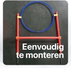 Tavaro Agility Voor De Hond - Honden Training - Hondentunnel - Springhoepel - Horde - Slalom - Honden Behendigheid Trainingsset 16 Tavaro Agility Voor De Hond - Honden Training - Hondentunnel - Springhoepel - Horde - Slalom - Honden Behendigheid Trainingsset -Hondenspeelgoed Winkel 1200x1156 6