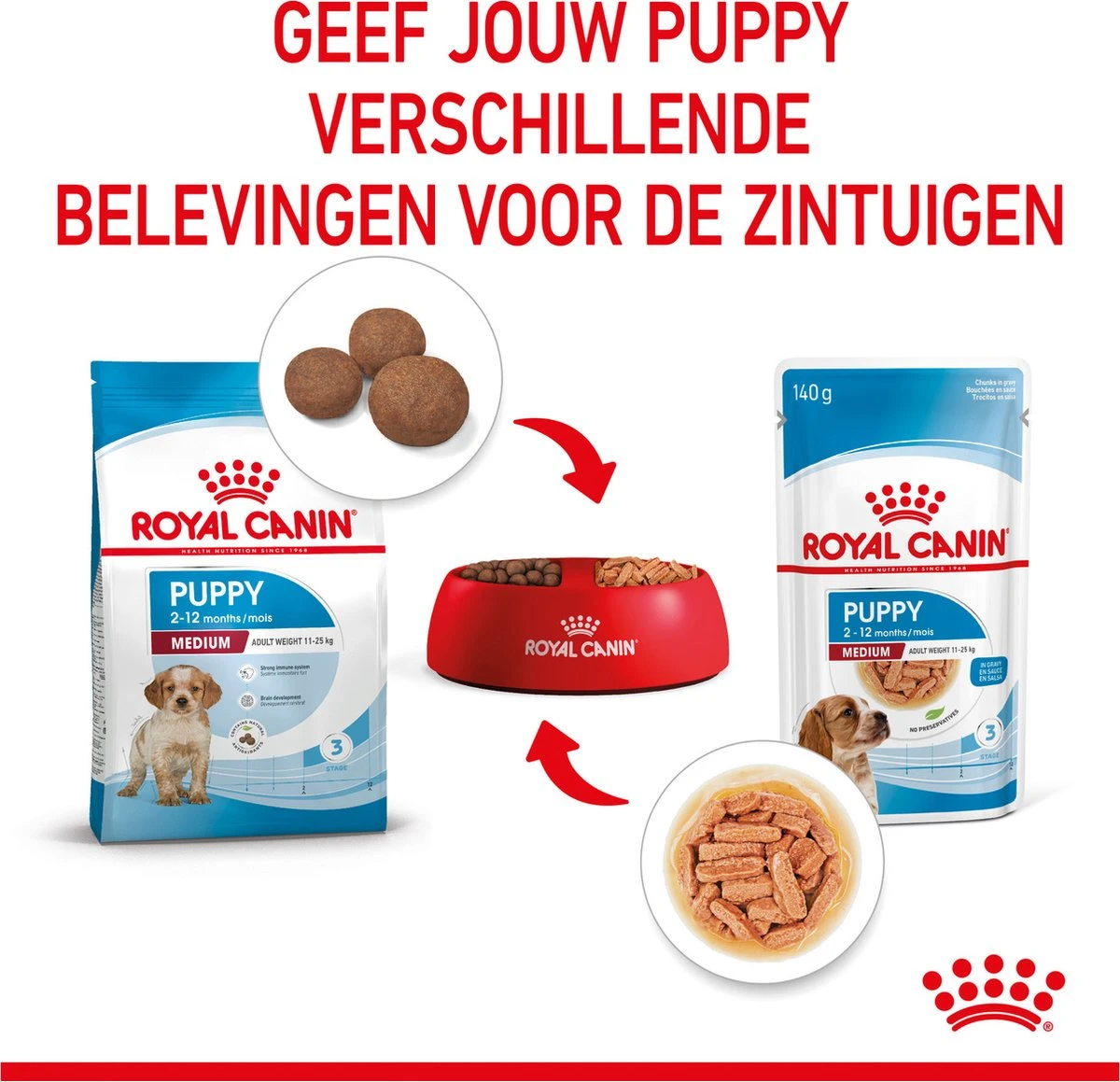 Royal Canin Shn Medium Puppy Pouch - Hondenvoer - 10 X 140 G 9 Royal Canin Shn Medium Puppy Pouch - Hondenvoer - 10 X 140 G - Afbeelding 7