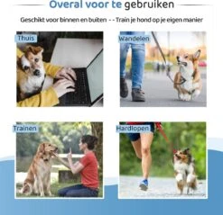 Diervriendelijke Ultrasone Anti- Blaf Apparaat 2023 + Batterijen - Extra Snel Van Blaffen Af - Anti Blafband – Honden Training Blaffen – Hondentrainer -Hondenspeelgoed Winkel 1200x1159 2