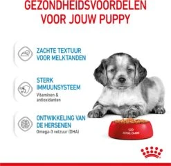 Royal Canin Shn Medium Puppy Pouch - Hondenvoer - 10 X 140 G 25 Royal Canin Shn Medium Puppy Pouch - Hondenvoer - 10 X 140 G -Hondenspeelgoed Winkel 1200x1159 9