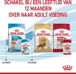 Royal Canin Shn Medium Puppy Pouch - Hondenvoer - 10 X 140 G 31 Royal Canin Shn Medium Puppy Pouch - Hondenvoer - 10 X 140 G -Hondenspeelgoed Winkel 1200x1160 4