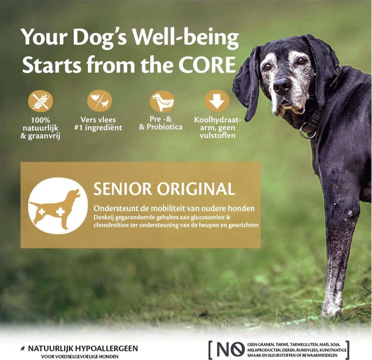 Wellness Core Grain Free Dog Senior Original Kalkoen&Kip - Hondenvoer - 10 Kg 7 Wellness Core Grain Free Dog Senior Original Kalkoen&Kip - Hondenvoer - 10 Kg - Afbeelding 5
