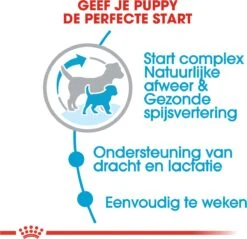 Royal Canin Mini Starter Mother & Babydog - Puppy-Hondenvoer - 8 Kg 14 Royal Canin Mini Starter Mother & Babydog - Puppy-Hondenvoer - 8 Kg -Hondenspeelgoed Winkel 1200x1162 3