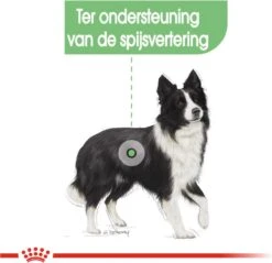 Royal Canin Digestive Care Medium - Hondenvoer - 12 Kg -Hondenspeelgoed Winkel 1200x1162 4