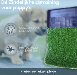 Merkloos Gtrise Hondentoilet Met 2 Matten - Out/Indoor - Zindelijkheidstraining Ebook - Dieren Wc 13 Merkloos Gtrise Hondentoilet Met 2 Matten - Out/Indoor - Zindelijkheidstraining Ebook - Dieren Wc -Hondenspeelgoed Winkel 1200x1164 4