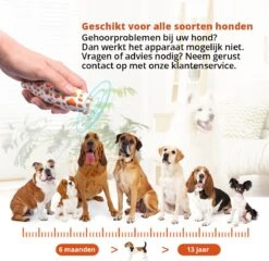 Merkloos LotaHome - Anti Blaf Apparaat - Hondentrainer Voor Binnen En Buiten - Bereik Tot 15 Meter - Diervriendelijk - Zonder Schok - Ultrasone - Voor Alle Honden - Inclusief Clicker 22 Merkloos LotaHome - Anti Blaf Apparaat - Hondentrainer Voor Binnen En Buiten - Bereik Tot 15 Meter - Diervriendelijk - Zonder Schok - Ultrasone - Voor Alle Honden - Inclusief Clicker -Hondenspeelgoed Winkel 1200x1165 7