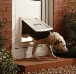 Staywell 777 Hondenluik - Large - Zilver/Tranparant -Hondenspeelgoed Winkel 1200x1168 9