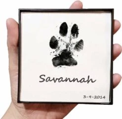 Merkloos Paw Print Pad - Pootafdruk Maken Van Hond Of Kat -Hondenspeelgoed Winkel 1200x1169 5