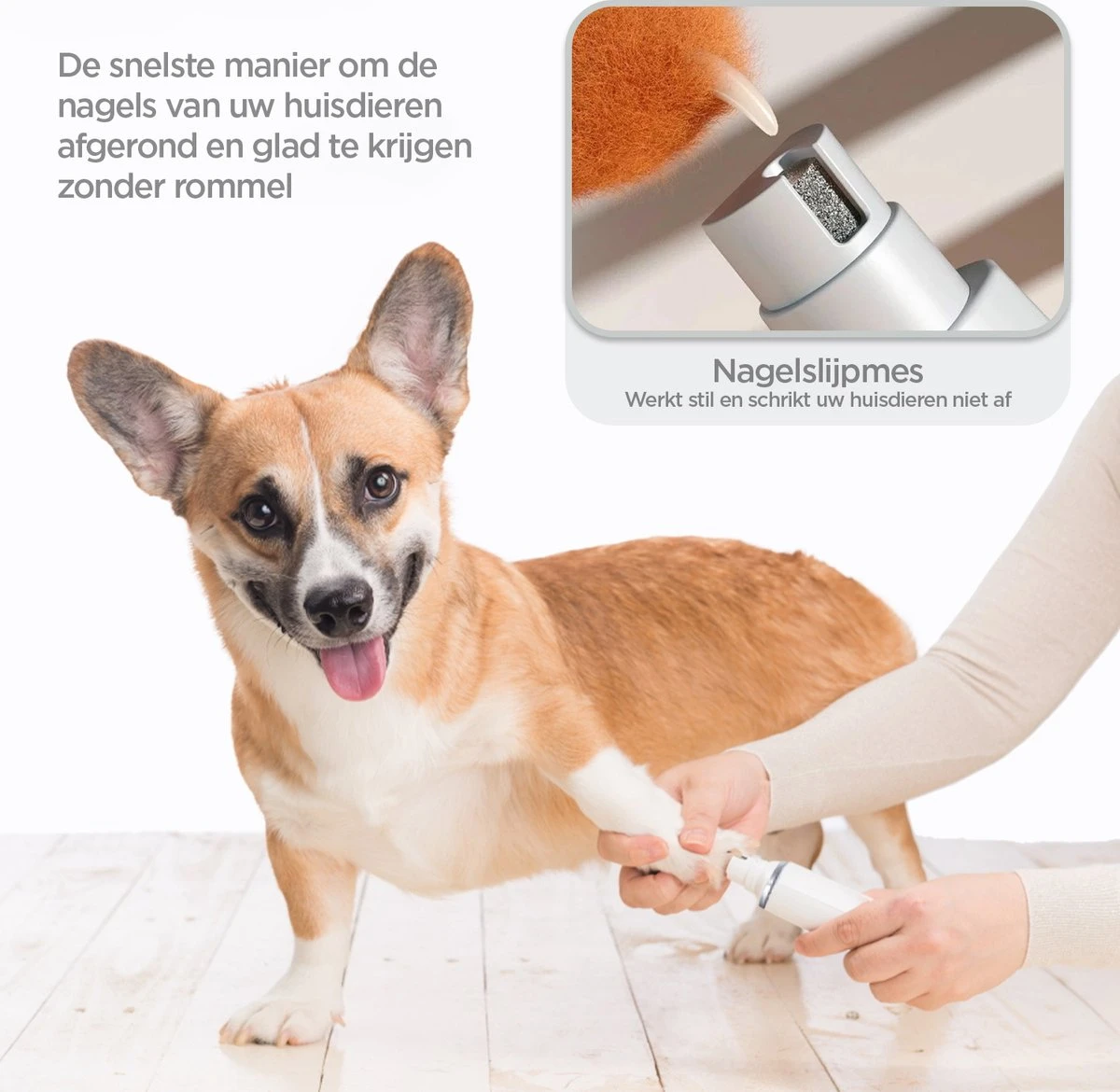 Revo Goods Professionele 4 In 1 Hondentondeuse Set -Ideaal Voor Honden En Andere Huisdieren - Slijper Inbegrepen -Draadloos - Ultra Stil 6 Revo Goods Professionele 4 In 1 Hondentondeuse Set -Ideaal Voor Honden En Andere Huisdieren - Slijper Inbegrepen -Draadloos - Ultra Stil - Afbeelding 4