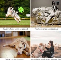 Filo Honden Speelgoed Set 14 Stuks - Hondenspeeltjes Knuffel - Hondenbal - Flostouw - Bot - Frisbee - Hondentouw - Hondenspeelgoed Intelligentie - Kauwspeelgoed Hond En Puppy - Bijtspeelgoed Hondenknuffel - Hondenspeeltje Met Piep 17 Filo Honden Speelgoed Set 14 Stuks - Hondenspeeltjes Knuffel - Hondenbal - Flostouw - Bot - Frisbee - Hondentouw - Hondenspeelgoed Intelligentie - Kauwspeelgoed Hond En Puppy - Bijtspeelgoed Hondenknuffel - Hondenspeeltje Met Piep -Hondenspeelgoed Winkel 1200x1171 8