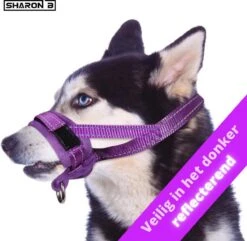 Sharon B Muilkorf Paars Maat M - Fleece - Wasbaar - Reflecterend -Hondenspeelgoed Winkel 1200x1173 2