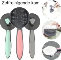 Pakeway T9 - Kattenborstel - Zelfreinigende Kattenkam - Groen - Massageborstel - 19,3 Cm 14 Pakeway T9 - Kattenborstel - Zelfreinigende Kattenkam - Groen - Massageborstel - 19,3 Cm -Hondenspeelgoed Winkel 1200x1174 1