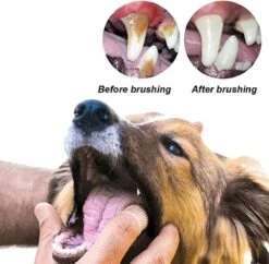 Doodadeals® 4 Stuks Siliconen Honden Tandenborstel - Tanden Borstel Hond - Silicone Dog Tootbrush - Multikleur 10 Doodadeals® 4 Stuks Siliconen Honden Tandenborstel - Tanden Borstel Hond - Silicone Dog Tootbrush - Multikleur -Hondenspeelgoed Winkel 1200x1175 5