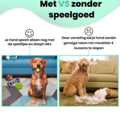 Petloverz – Honden Speelgoed Set – Honden Speeltjes – Knuffel - Speelgoed – Intelligentie – 15 Speeltjes 14 Petloverz – Honden Speelgoed Set – Honden Speeltjes – Knuffel - Speelgoed – Intelligentie – 15 Speeltjes -Hondenspeelgoed Winkel 1200x1177 6