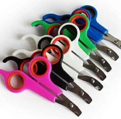 Doodadeals® | Nagelschaar Kat | Nagelschaar Hond | Nagelschaar Konijn | Nagelschaar Cavia | Multi Color | 1 Stuk 9 Doodadeals® | Nagelschaar Kat | Nagelschaar Hond | Nagelschaar Konijn | Nagelschaar Cavia | Multi Color | 1 Stuk -Hondenspeelgoed Winkel 1200x1178 2