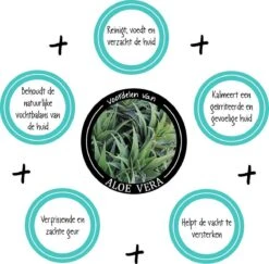 Greenfields Vacht Verzorging Set Voor Honden Shampoo, Conditioner & Droogshampoo 13 Greenfields Vacht Verzorging Set Voor Honden Shampoo, Conditioner & Droogshampoo -Hondenspeelgoed Winkel 1200x1182 1